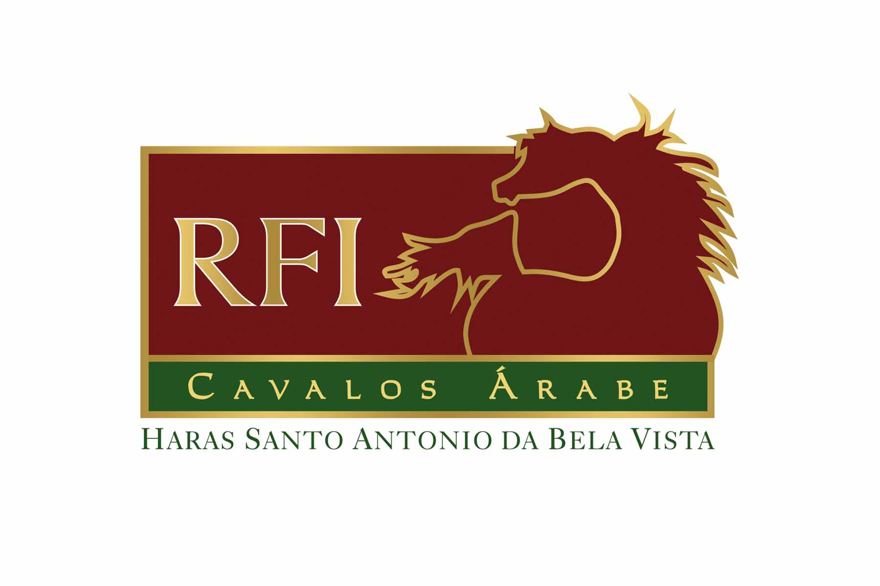 RFI Matisse 